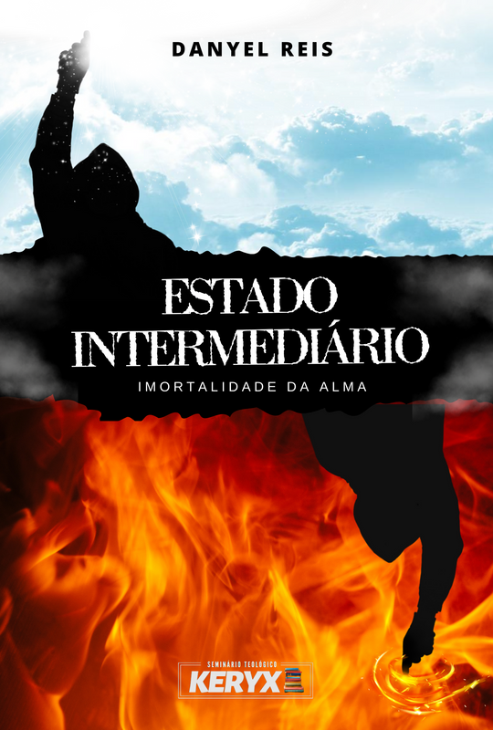 Capa do livro 'Estado Intermediário: Imortalidade da Alma' de Danyel Reis. A imagem mostra uma silhueta entre o céu azul e chamas de fogo. O título está no centro e o nome do autor na parte superior.